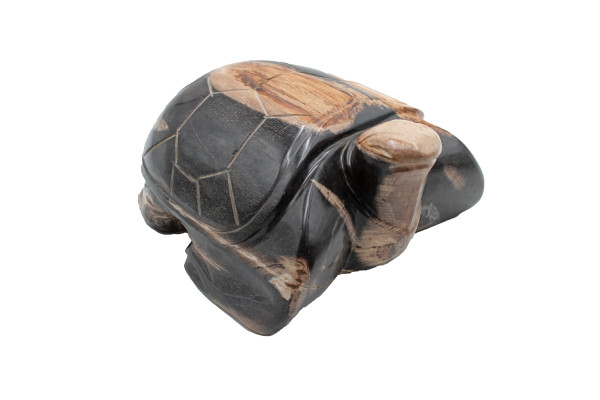 Tortue en bois fossilisé. Indonésie 