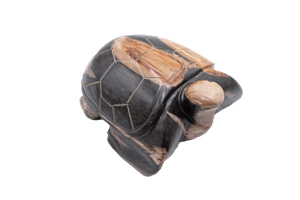 Tortue en bois fossilisé. Indonésie 